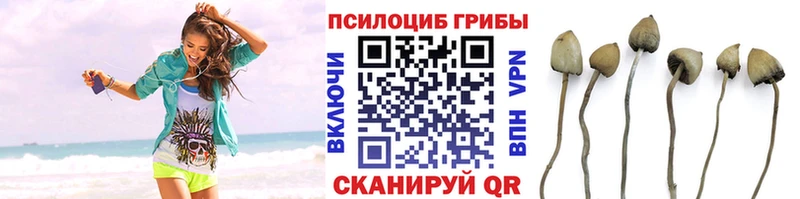 Галлюциногенные грибы MAGIC MUSHROOMS  omg   Абдулино 
